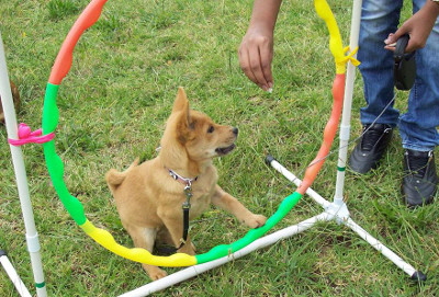 Hoop1