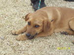 293770_204866899639999_1441368857_n
